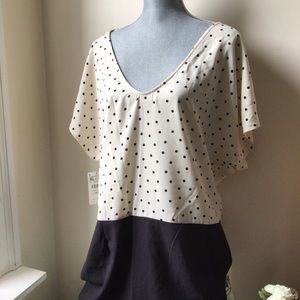 Zara Drop Waist Polka Dot Top/Dress